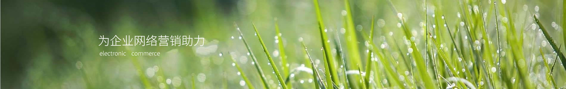 ݵӹ޹˾